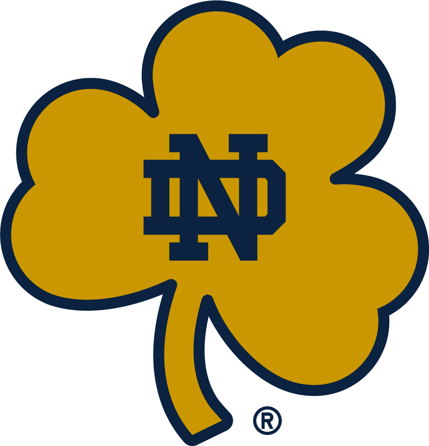Notre Dame Fighting Irish 2015-Pres Secondary Logo v2 DIY iron on transfer (heat transfer)